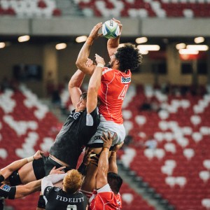 开云kaiyun-顶级运动员揭秘：训练技巧助力台球赛场夺冠，职业台球选手训练方法